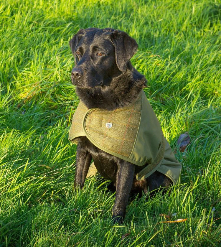Alan Paine Tweed Dog Coat - Image 3