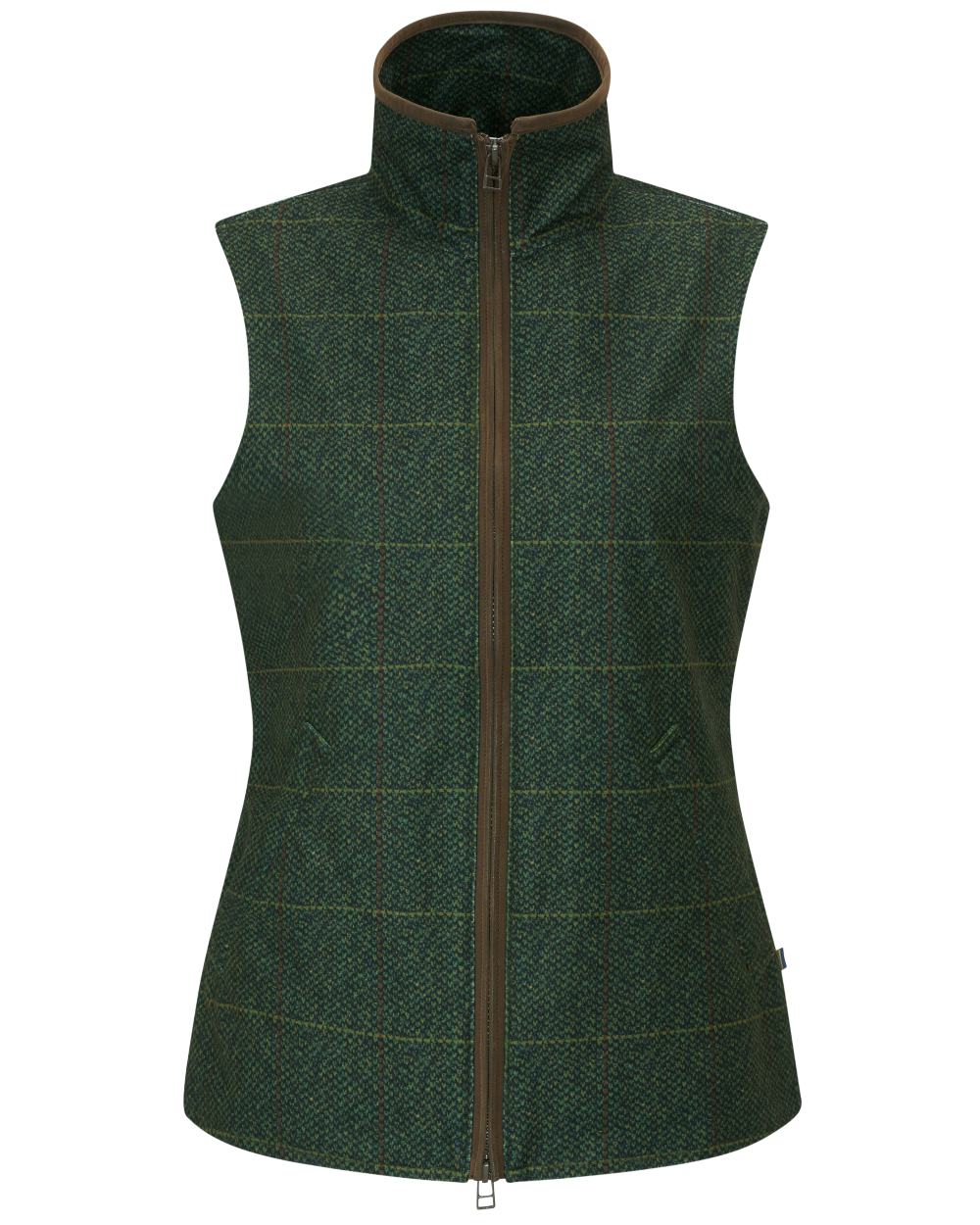 Alan Paine Womens Didsmere Gilet - Image 5