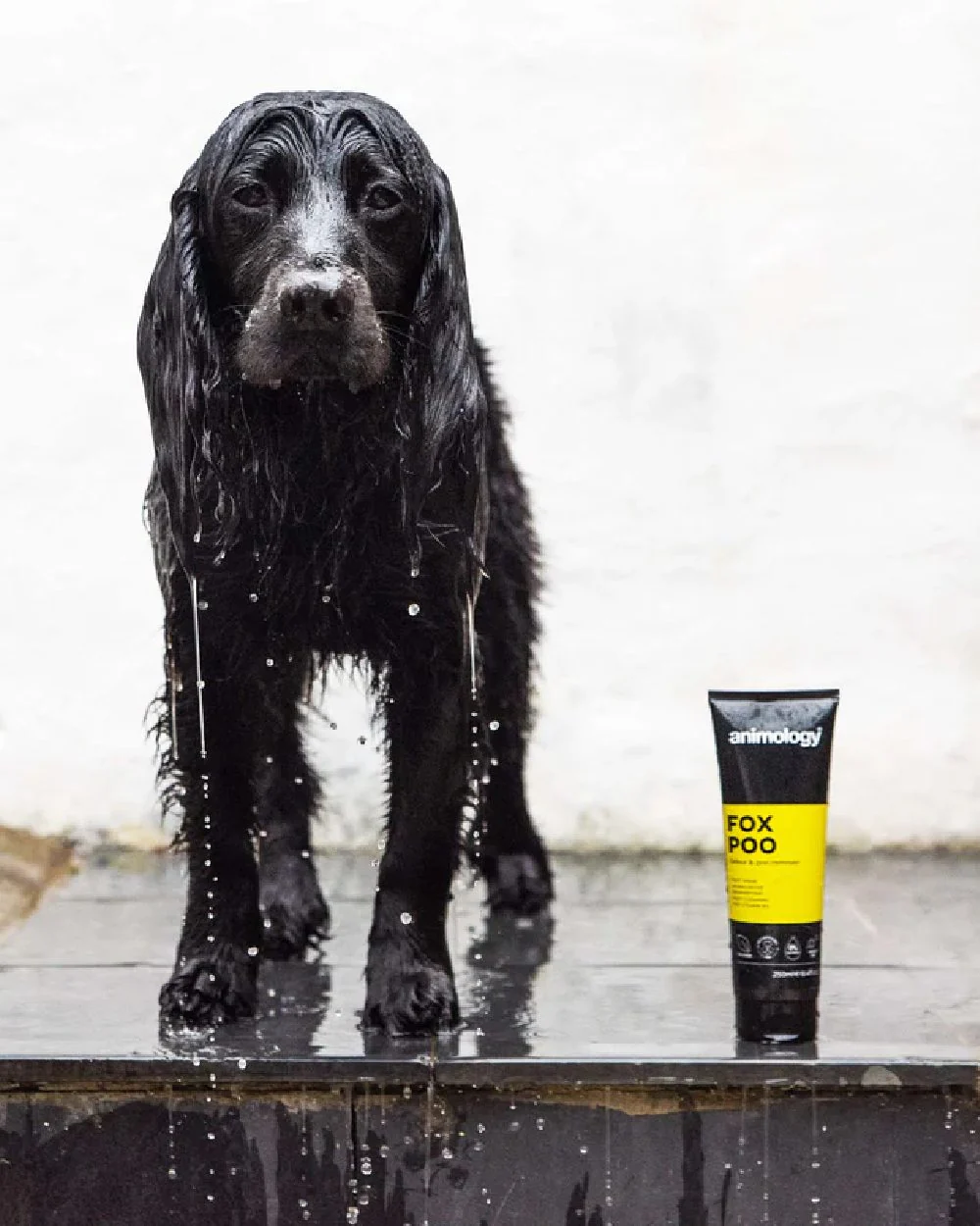Animology Shampoo Fox Poo 250ml - Image 2