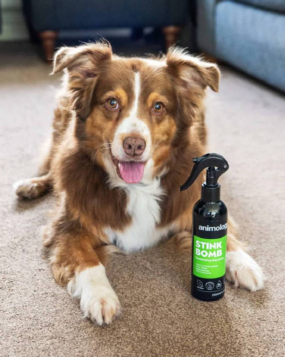 Animology Stink Bomb Deodorising Spray 250ml - Image 2