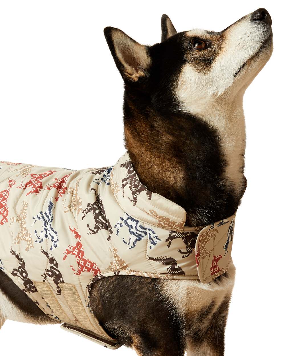 Ariat Pup Puffer Jacket - Image 4