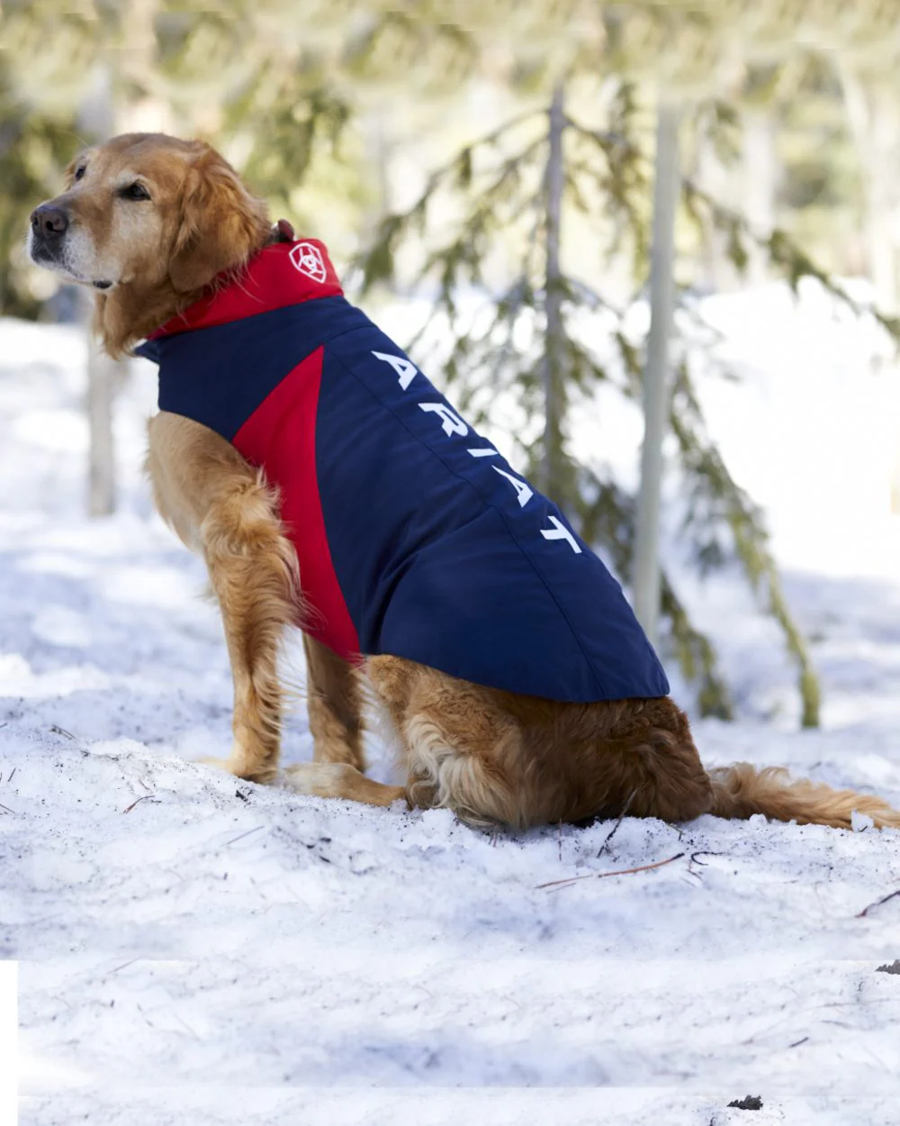 Ariat Team Softshell Dog Jacket - Image 4