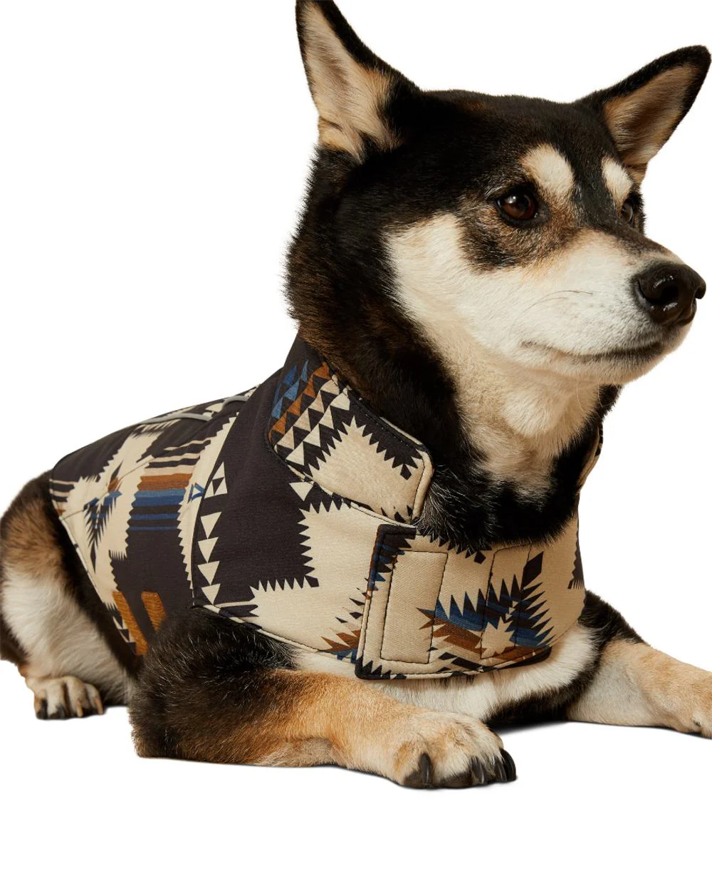 Ariat Team Softshell Dog Jacket - Image 5