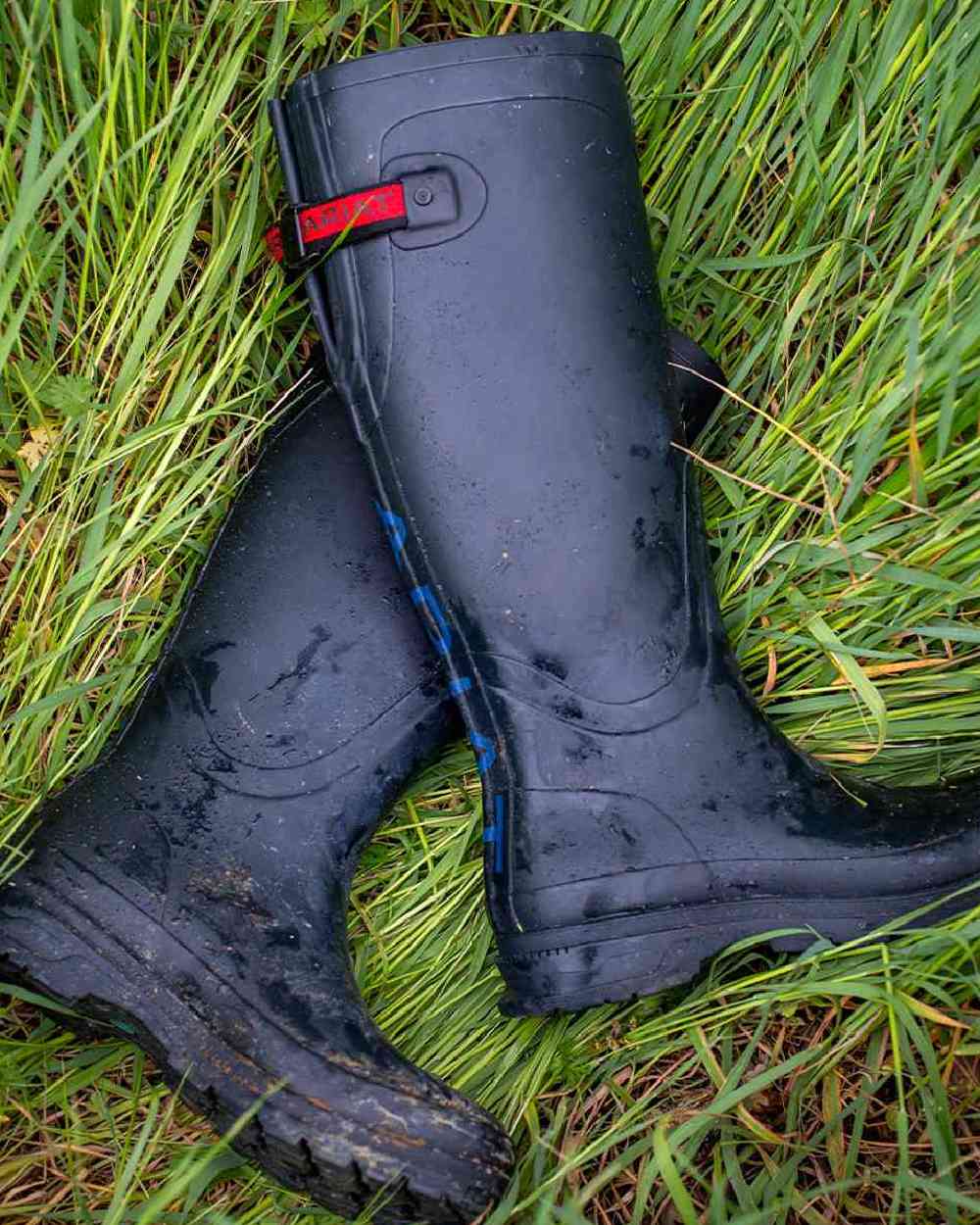 Ariat Womens Kelmarsh Wellingtons - Image 2