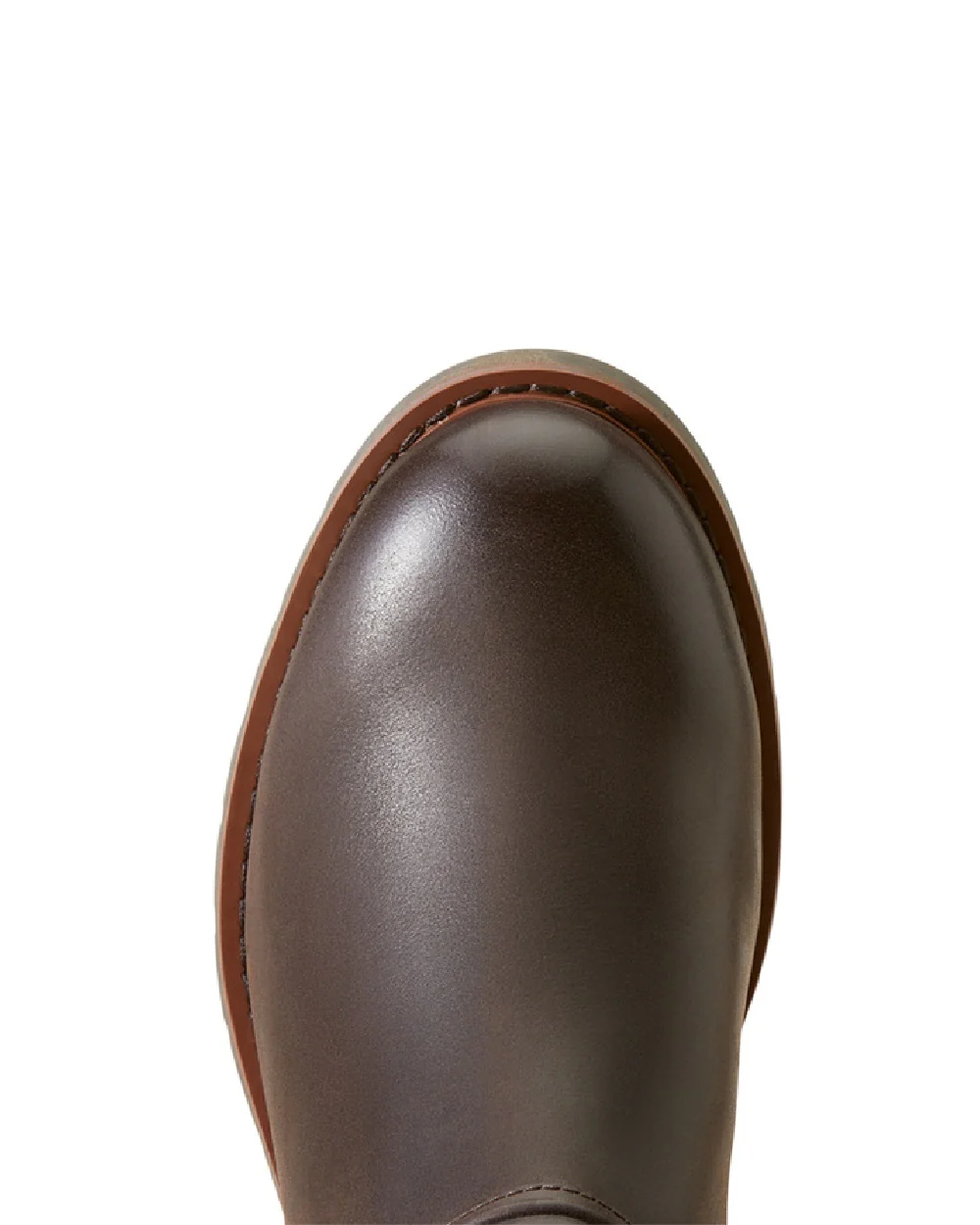 Ariat Womens Scarlet Waterproof Wellingtons - Image 18