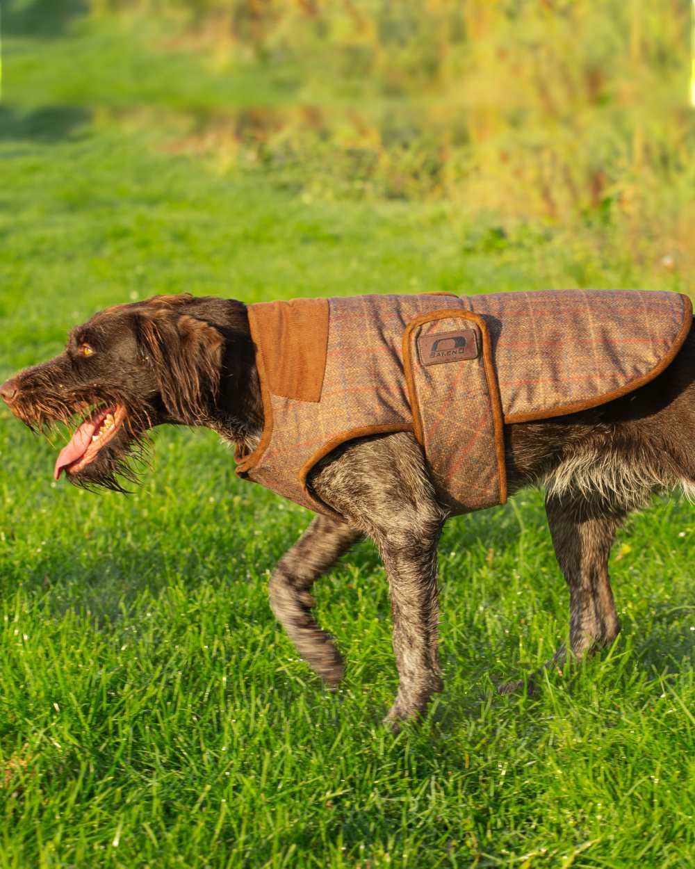 Baleno Bobby Printed Tweed Dog Coat - Image 4