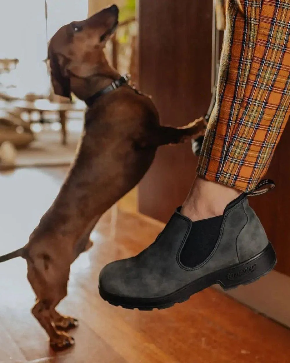 Blundstone 2035 Rustic Black Chelsea Boots - Image 5
