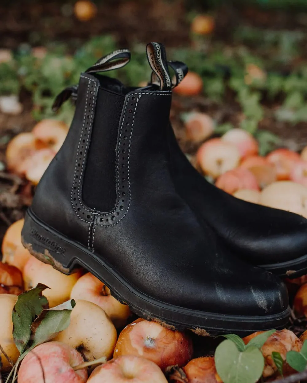 Blundstone Womens 1448 Black Chelsea Boots - Image 5