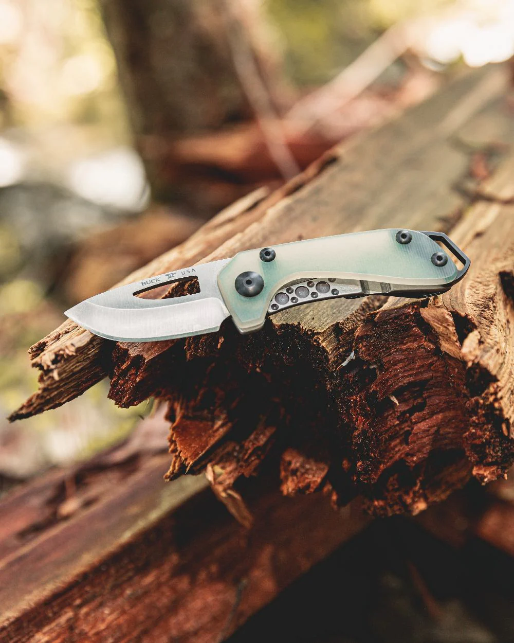 Buck Budgie Knife - Image 10