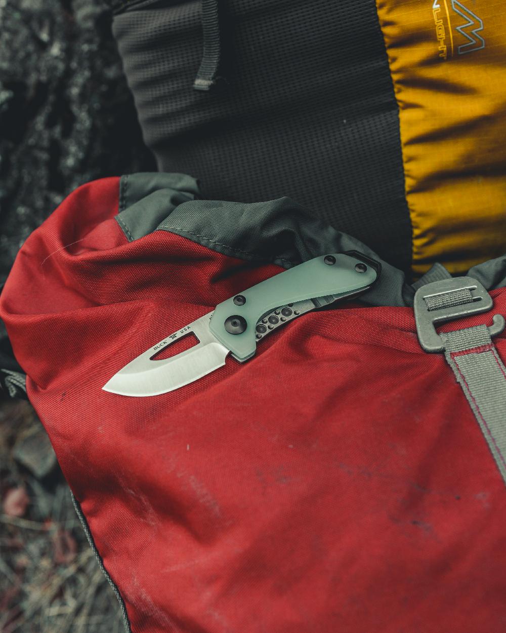 Buck Budgie Knife - Image 17