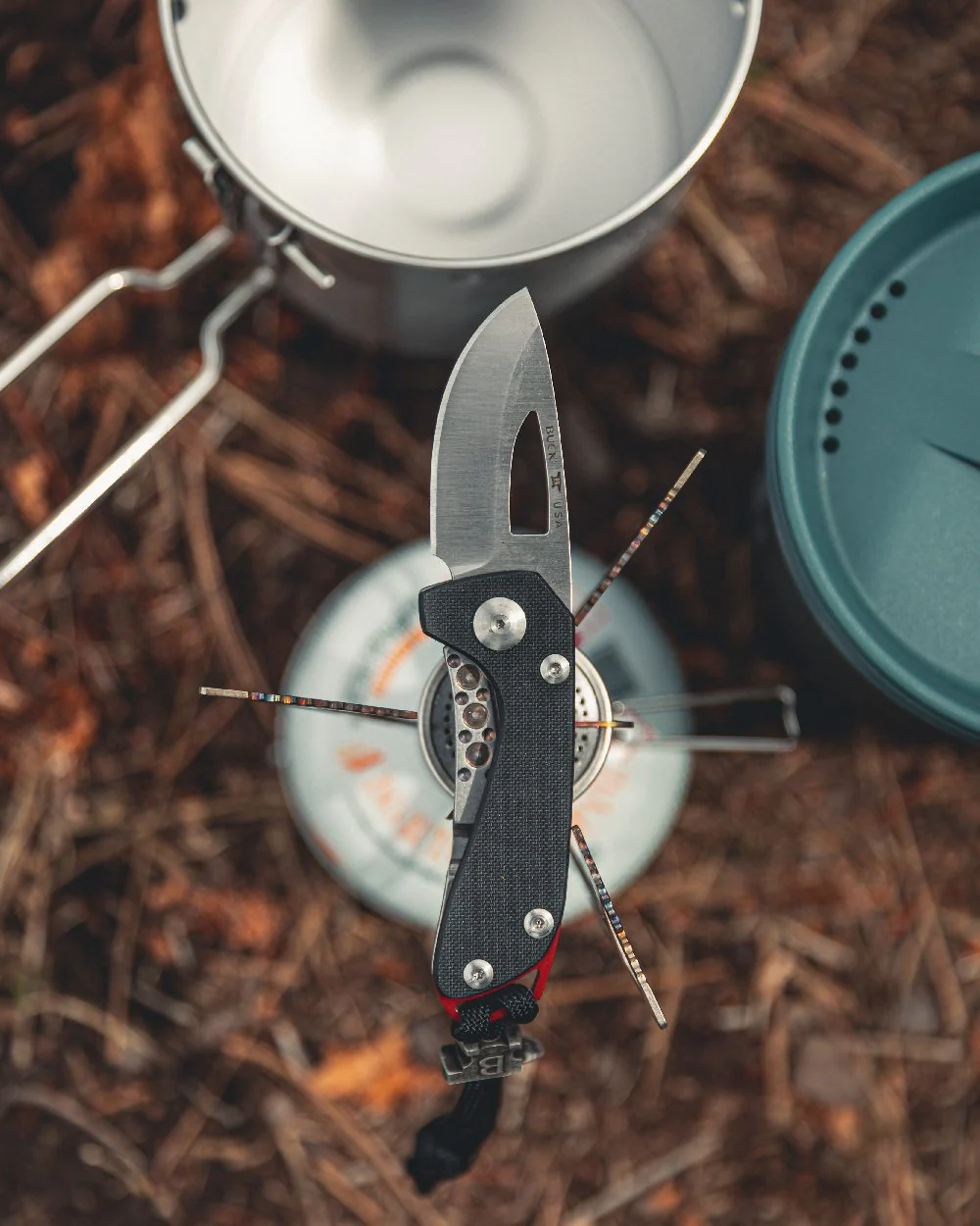 Buck Budgie Knife - Image 4