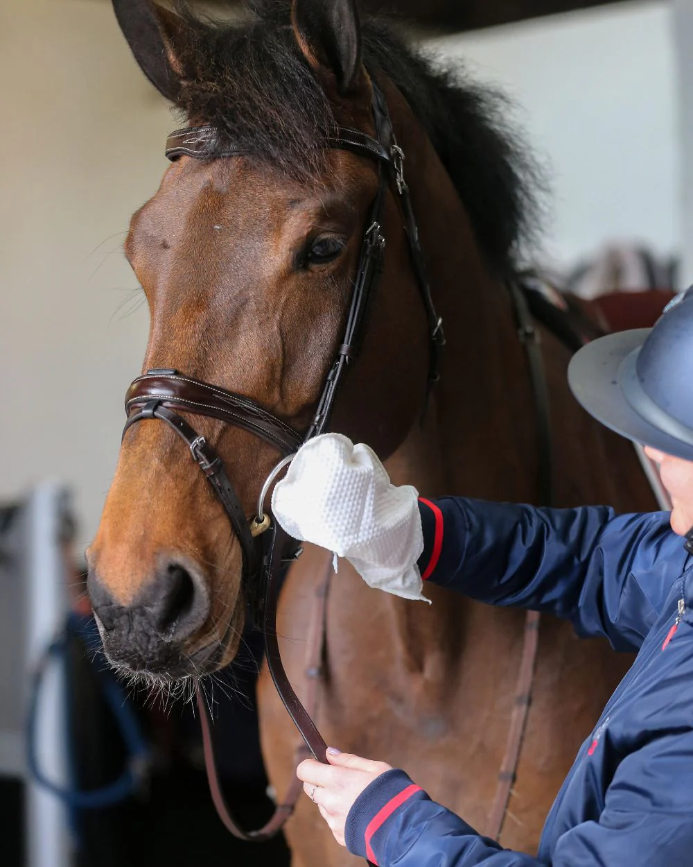 Carr & Day & Martin Belvoir Tack Cleaning Mitt - Image 2