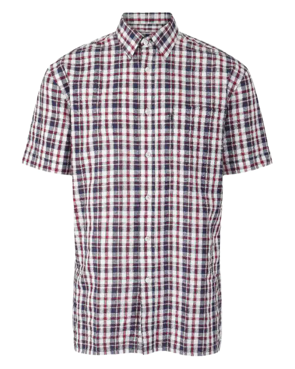 Champion Croyde Cotton Short Sleeved Shirt - Image 4