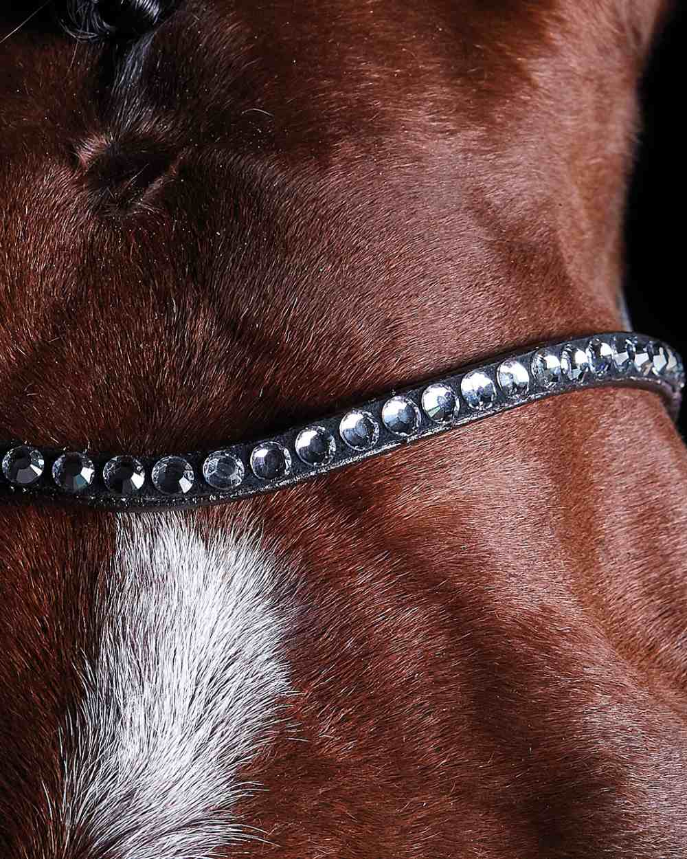 Collegiate Comfitec Crystal Bridle - Image 4