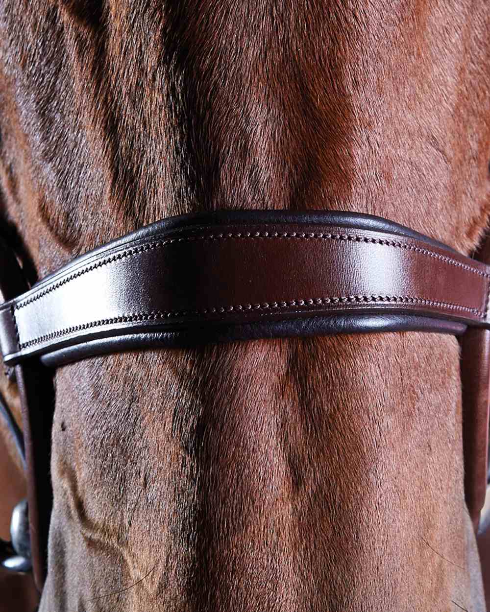 Collegiate Comfitec Crystal Bridle - Image 5