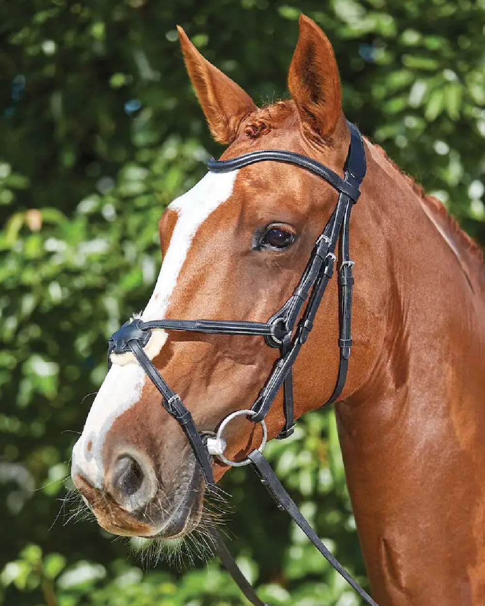 Collegiate Comfitec Grackle Bridle - Image 2
