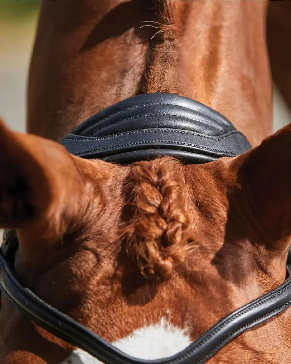 Collegiate Comfitec Grackle Bridle - Image 3