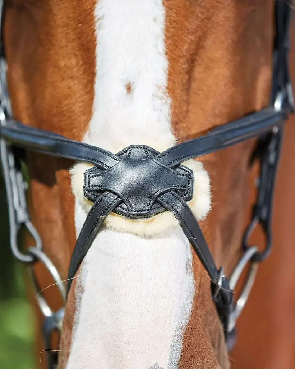 Collegiate Comfitec Grackle Bridle - Image 4