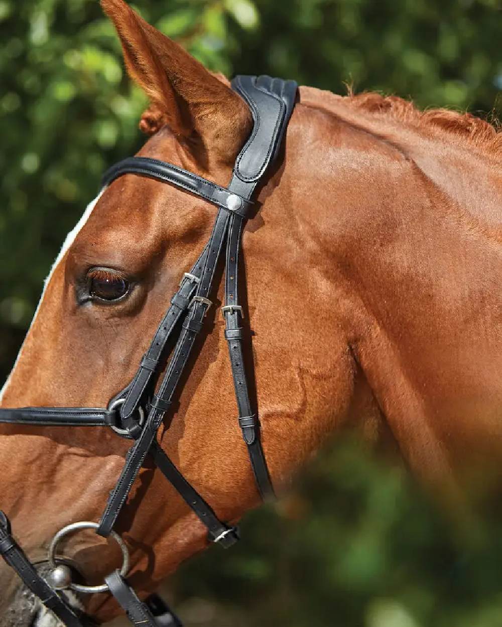 Collegiate Comfitec Grackle Bridle - Image 6