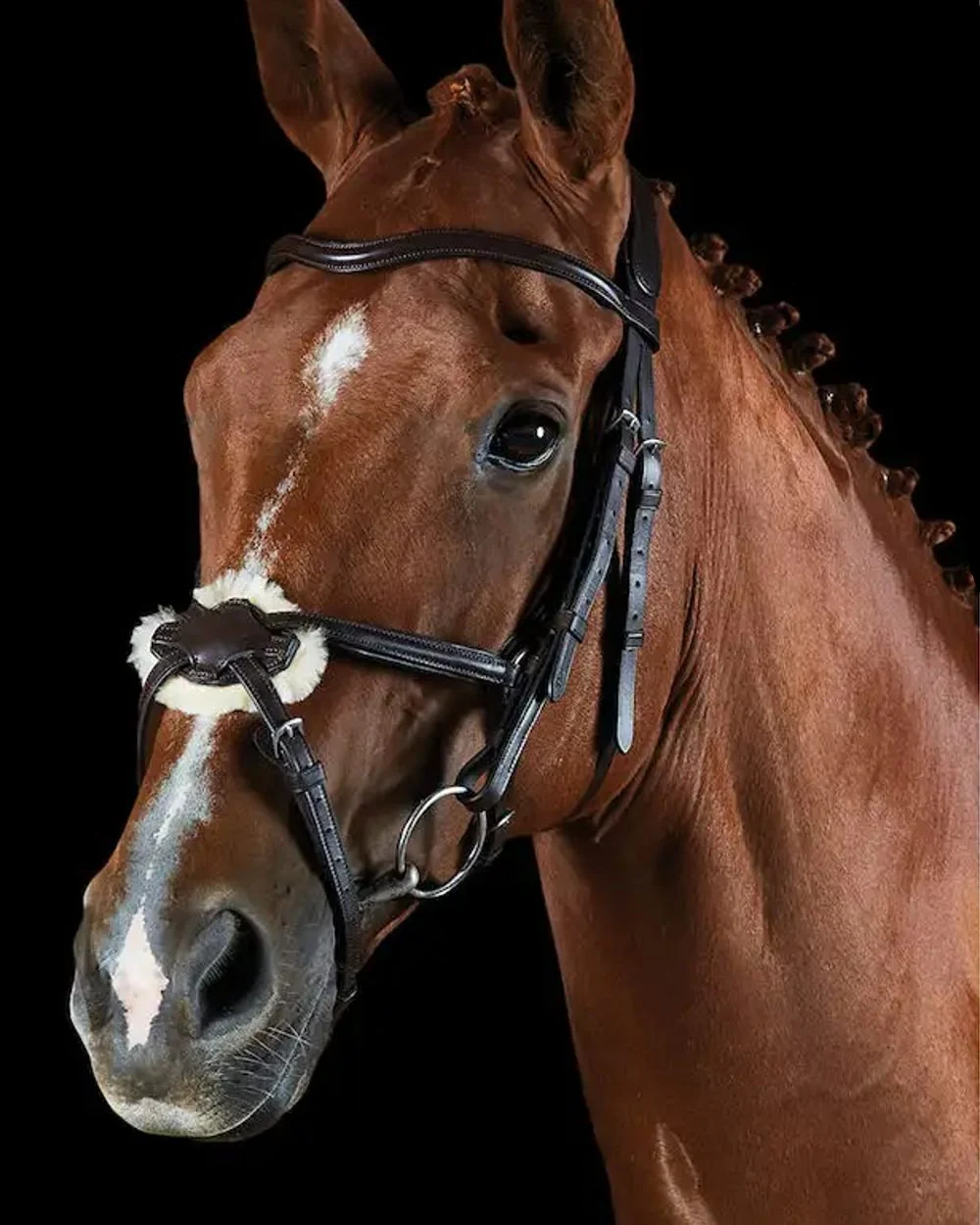 Collegiate Comfitec Grackle Bridle - Image 7