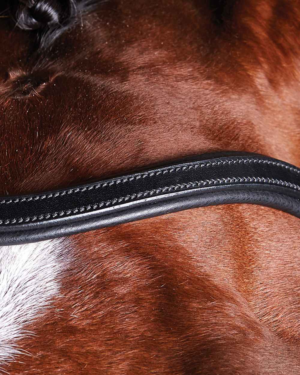 Collegiate Comfitec Training Bridle - Image 2