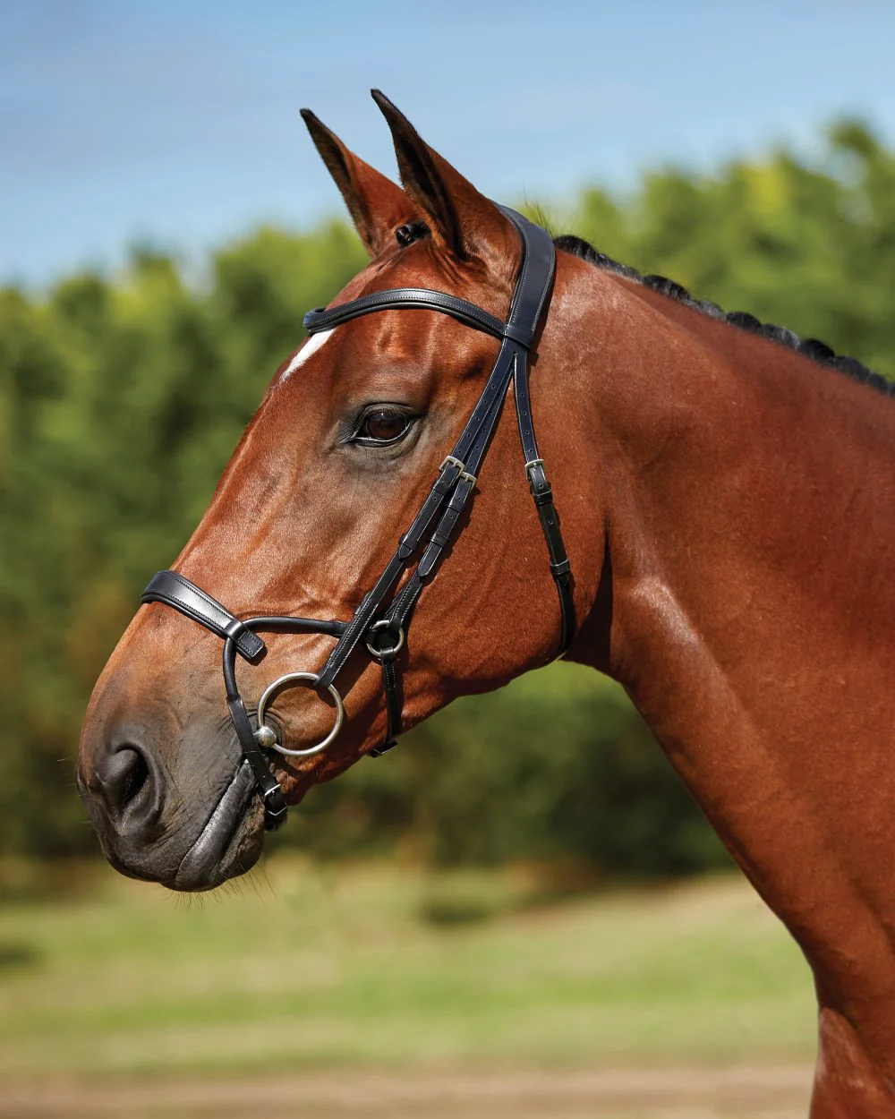 Collegiate Comfitec Training Bridle - Image 3