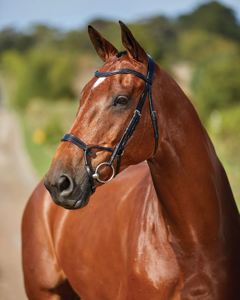 Collegiate Comfitec Training Bridle - Image 4
