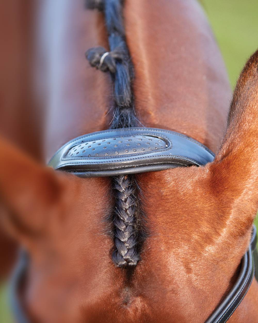Collegiate Comfitec Training Bridle - Image 5