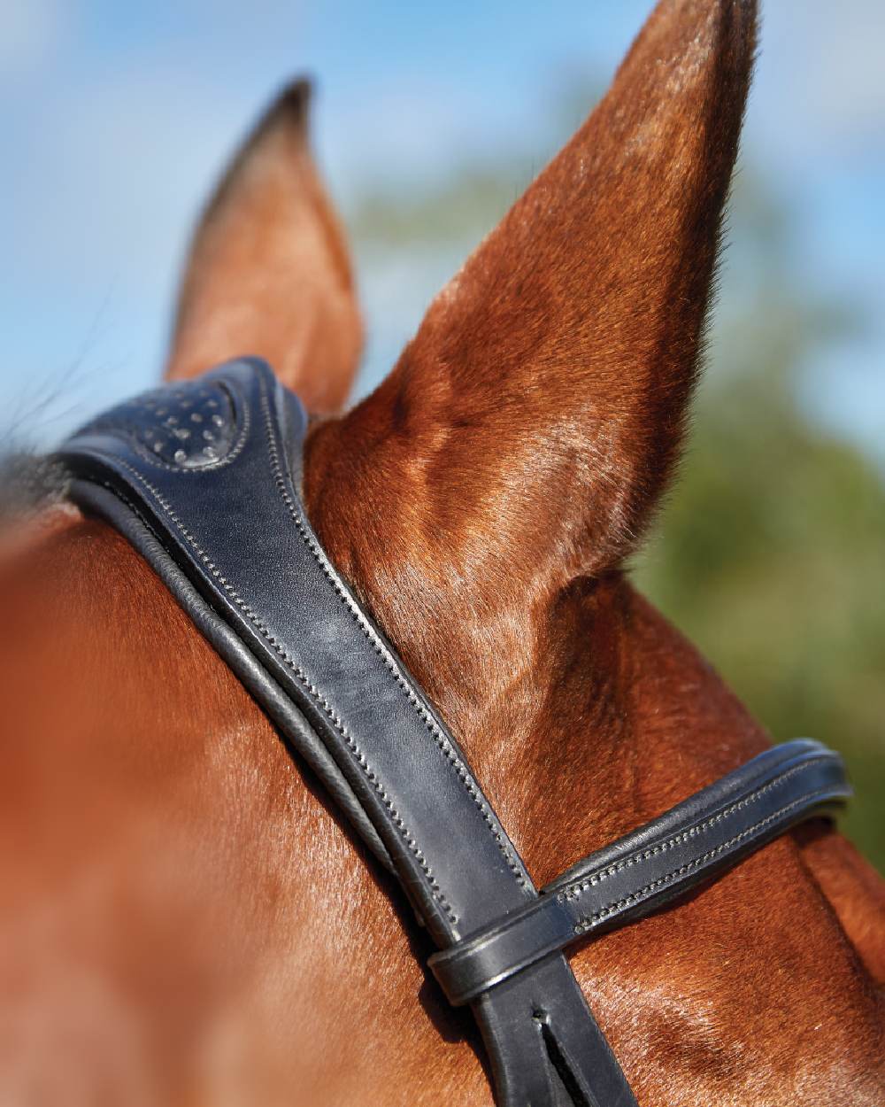 Collegiate Comfitec Training Bridle - Image 6