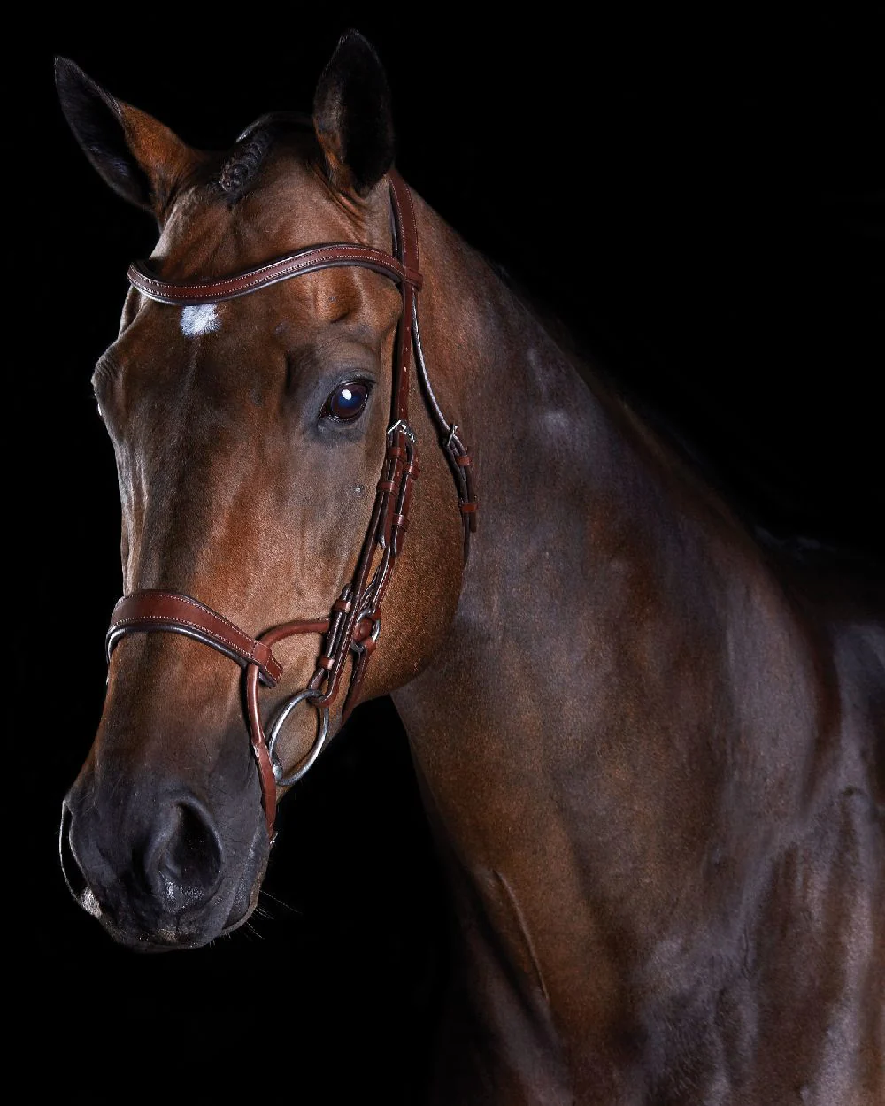 Collegiate Comfitec Training Bridle - Image 7