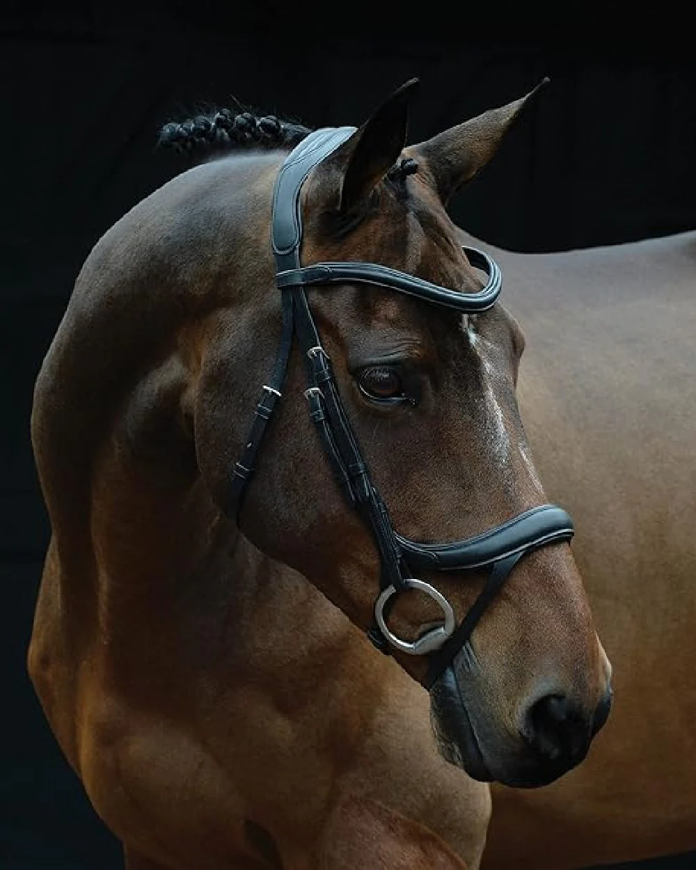 Collegiate Comfitec Vogue Anatomical Bridle - Image 2