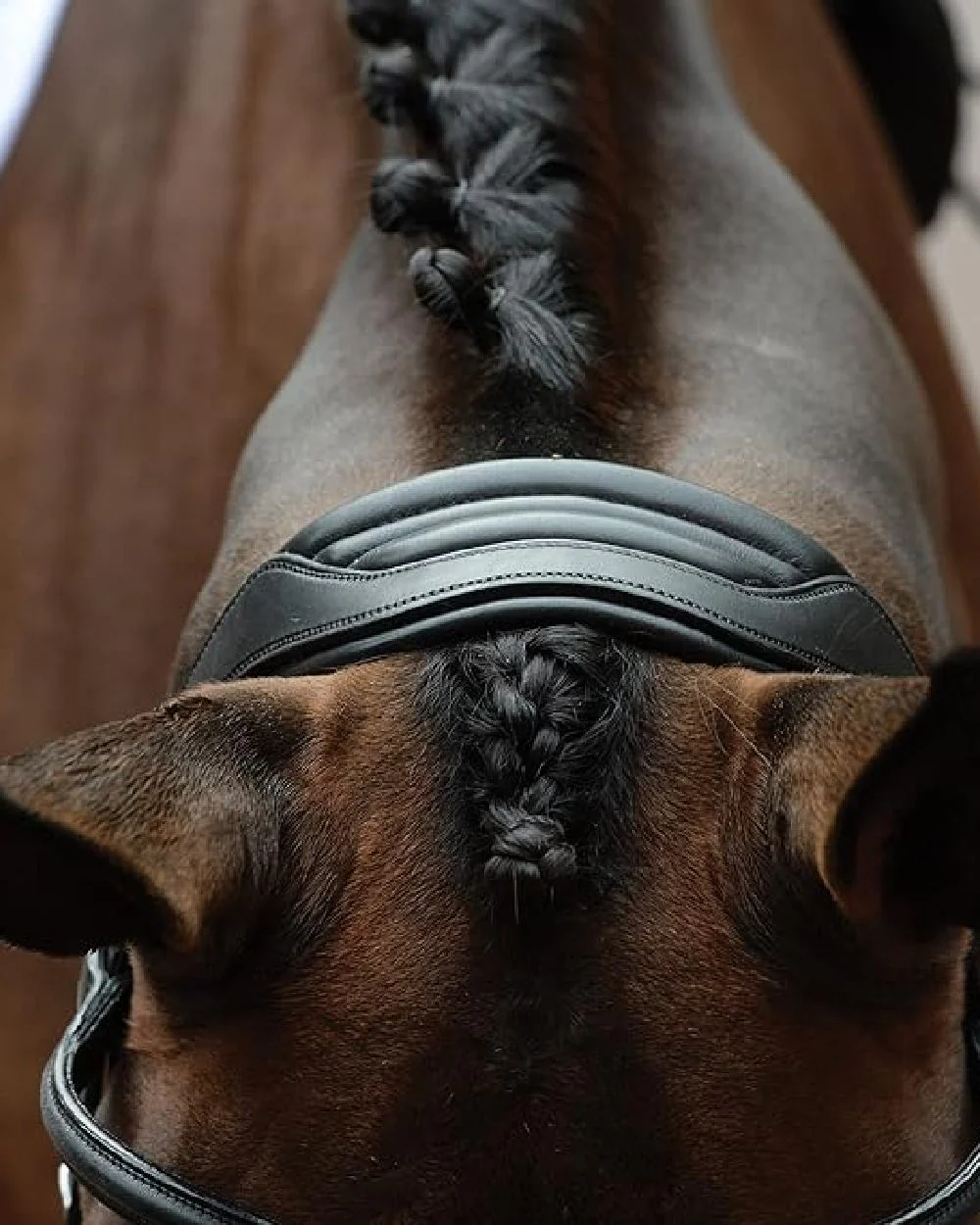 Collegiate Comfitec Vogue Anatomical Bridle - Image 3
