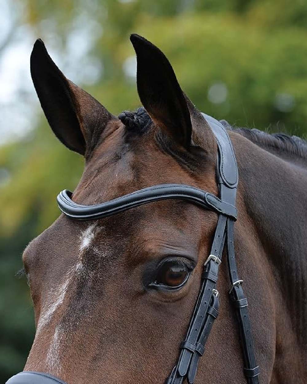 Collegiate Comfitec Vogue Anatomical Bridle - Image 4