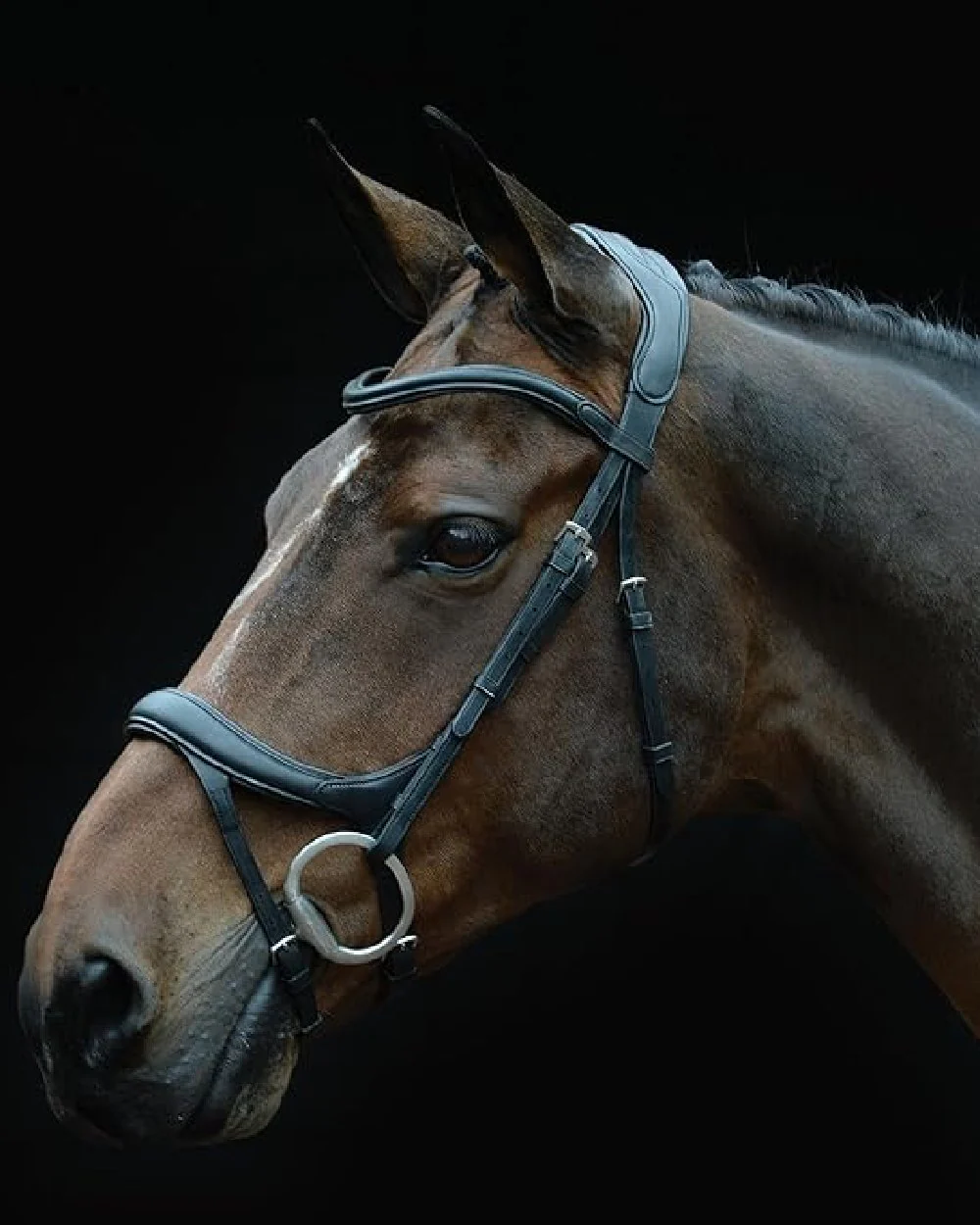 Collegiate Comfitec Vogue Anatomical Bridle - Image 5