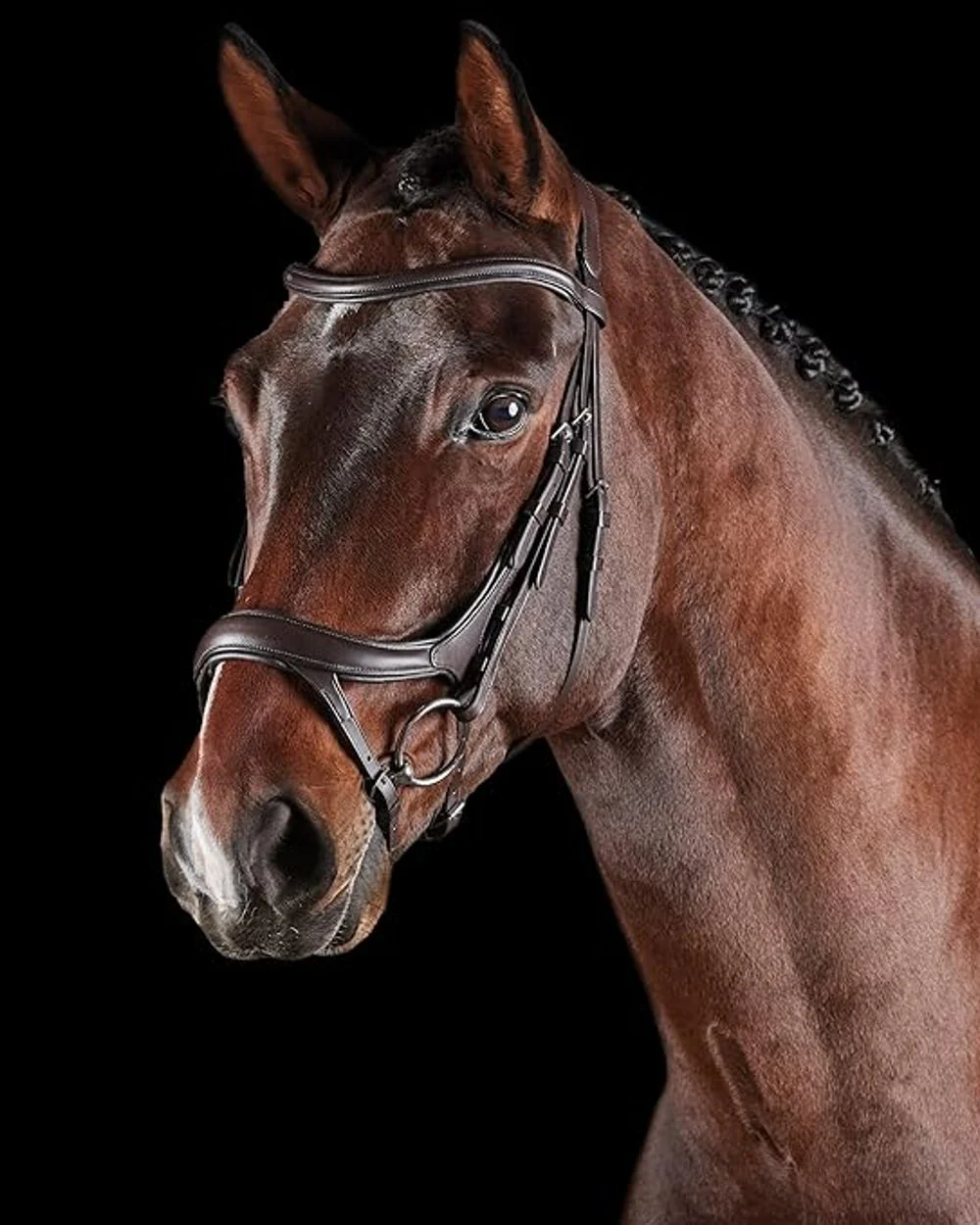Collegiate Comfitec Vogue Anatomical Bridle - Image 6