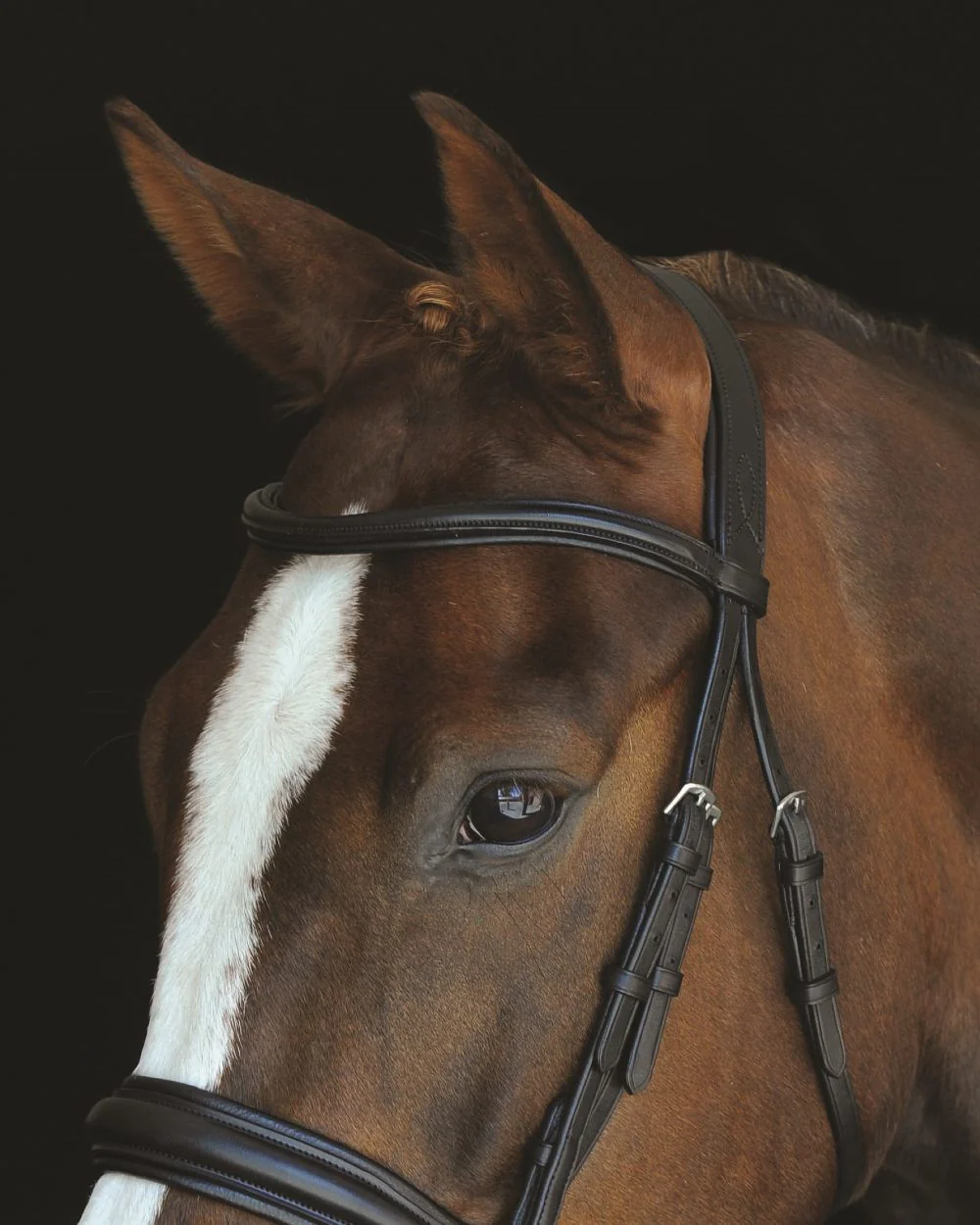 Collegiate Mono Crown Padded Raised Cavesson Bridle - Image 2