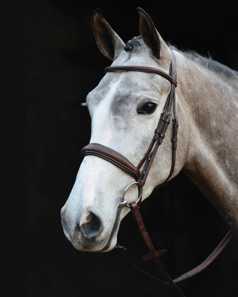 Collegiate Mono Crown Padded Raised Cavesson Bridle - Image 3