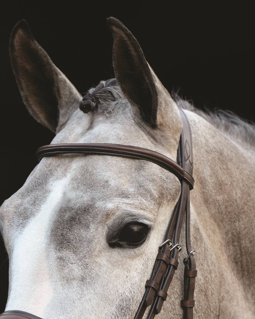Collegiate Mono Crown Padded Raised Cavesson Bridle - Image 4