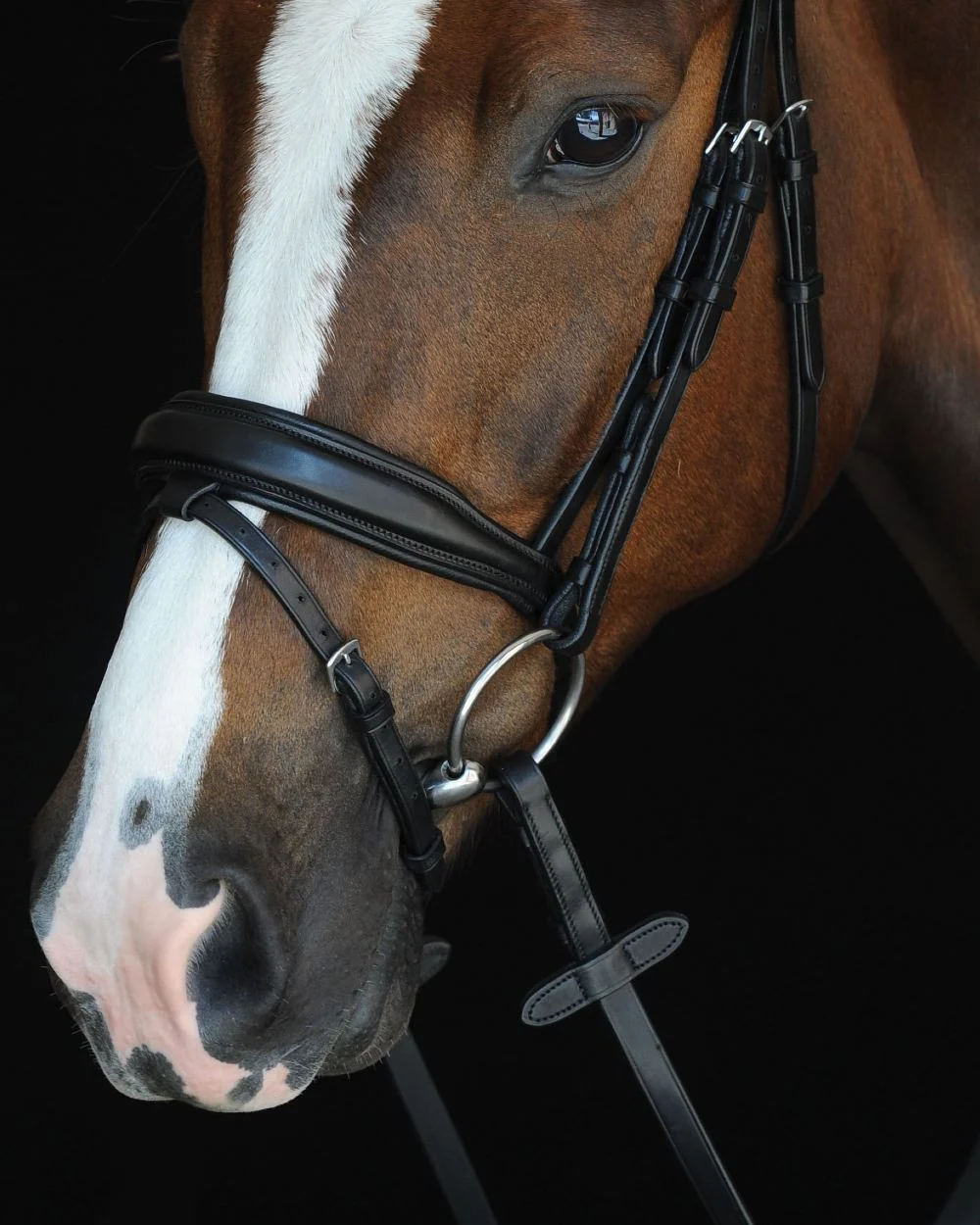 Collegiate Mono Crown Padded Raised Flash Bridle - Image 2