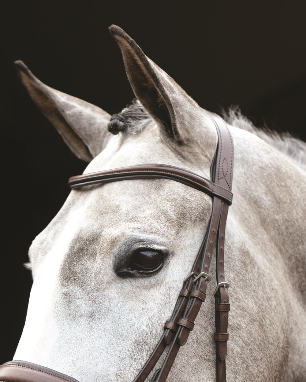 Collegiate Mono Crown Padded Raised Flash Bridle - Image 3