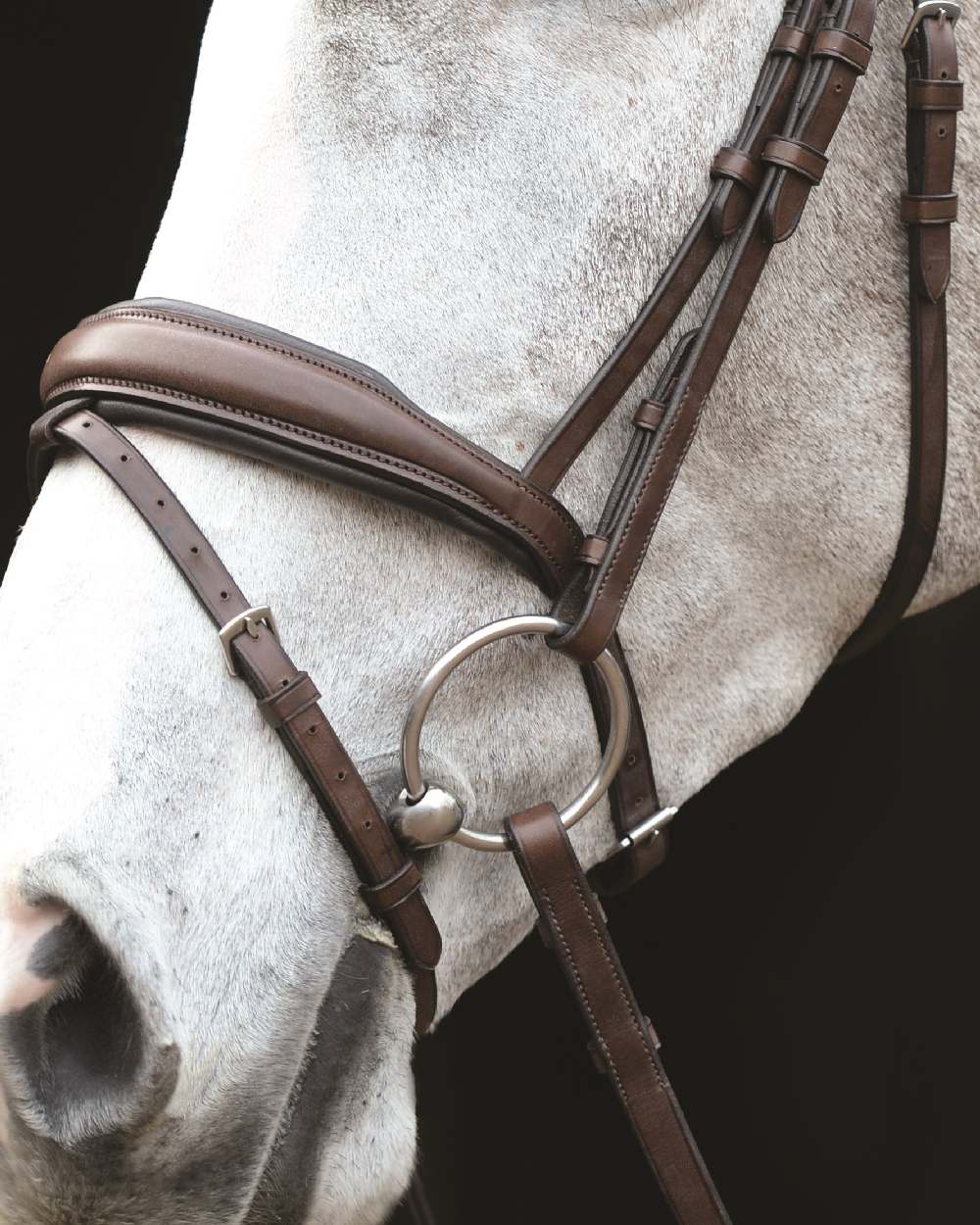 Collegiate Mono Crown Padded Raised Flash Bridle - Image 4