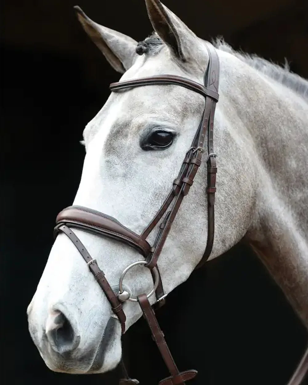 Collegiate Mono Crown Padded Raised Flash Bridle - Image 5