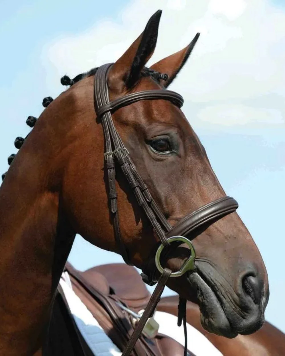 Collegiate Syntovia Plus Padded Raised Cavesson Bridle - Image 2