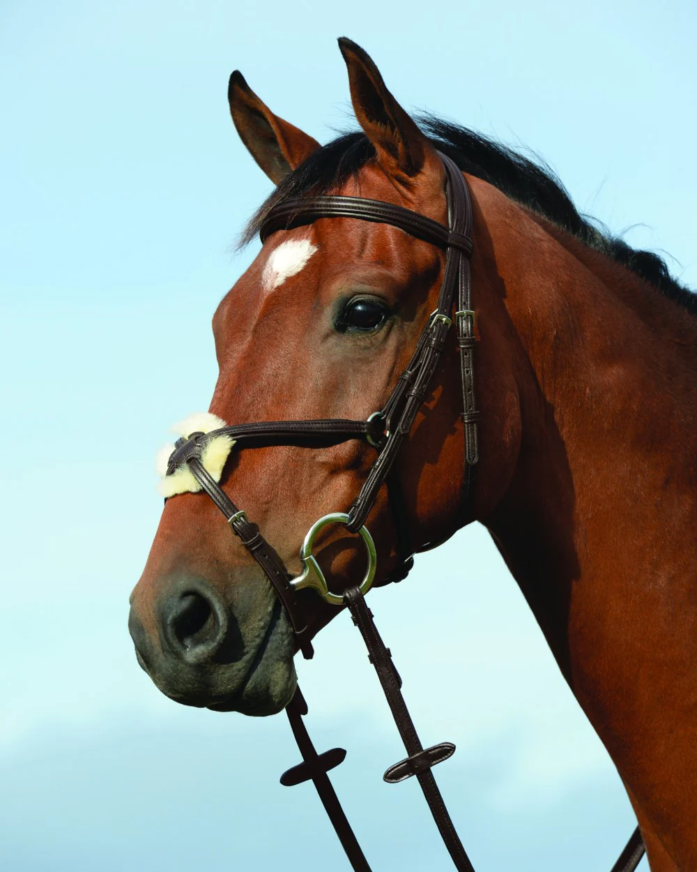 Collegiate Syntovia Plus Padded Raised Figure 8 Bridle - Image 2