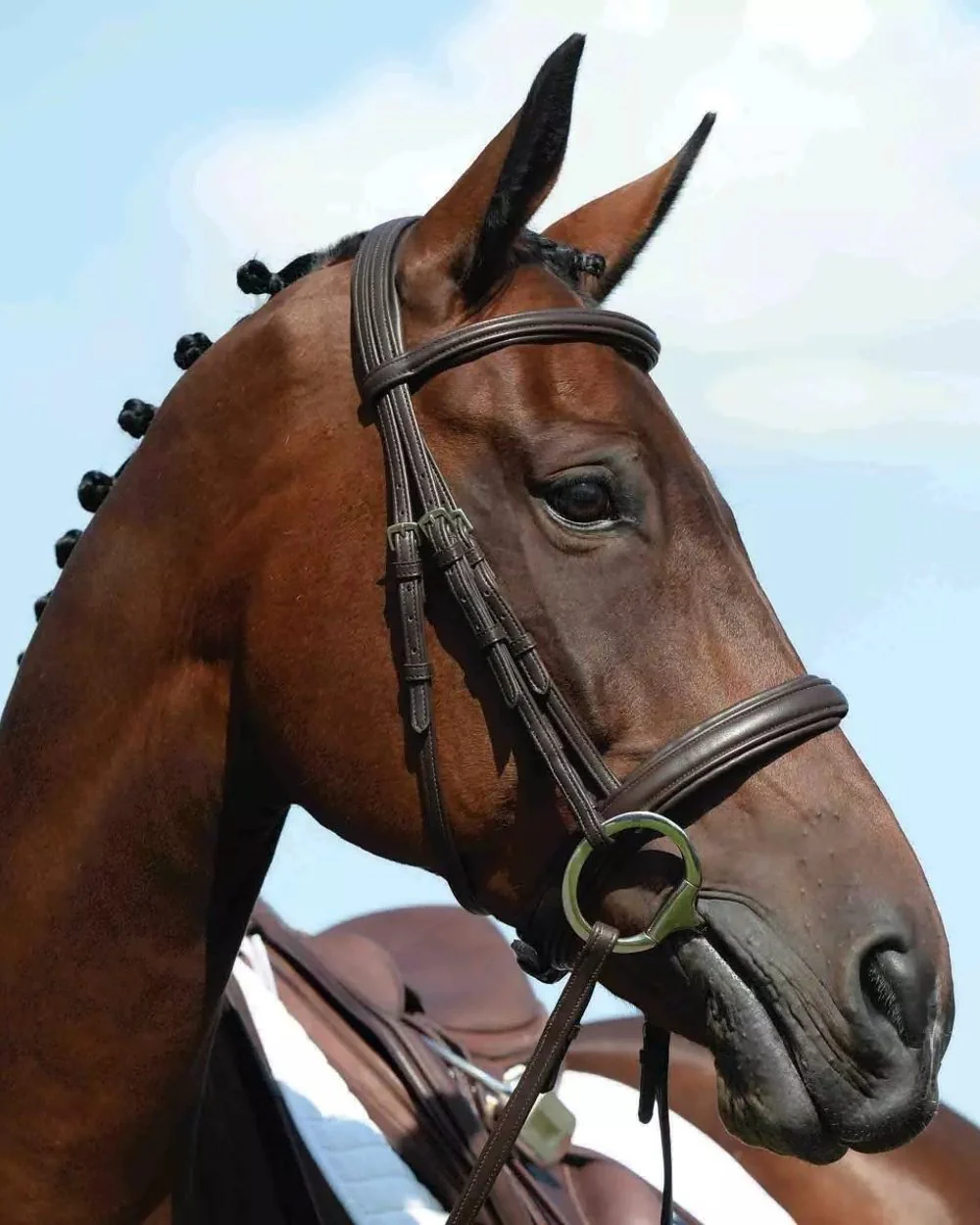 Collegiate Syntovia Plus Padded Raised Flash Bridle - Image 2