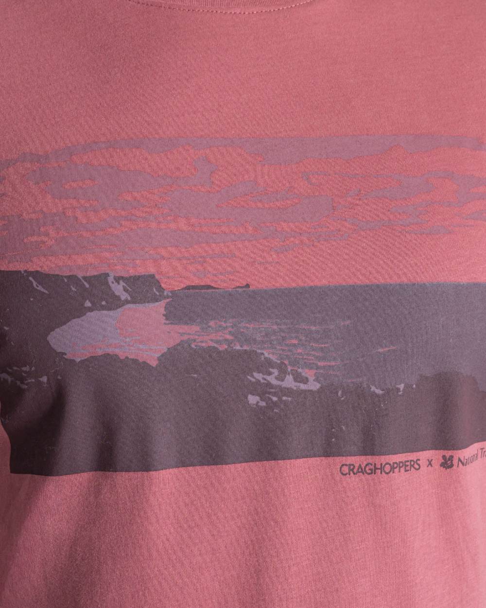 Craghoppers Mens National Trust Sabden Short Sleeved T-Shirt - Image 9