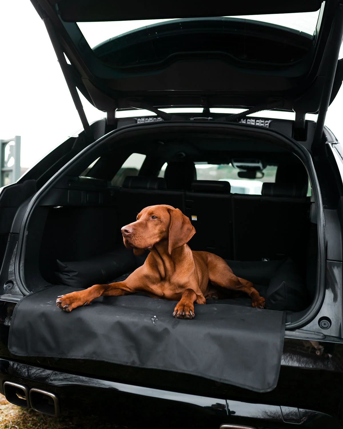 Danish Design Boot Bed - Image 2