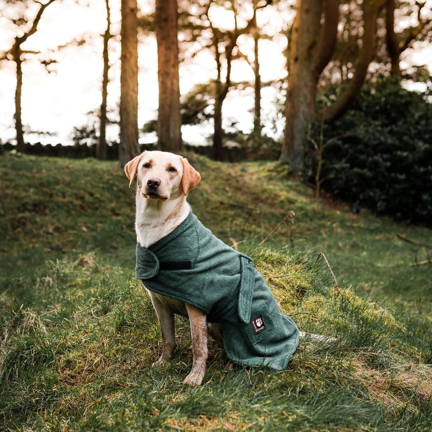 Danish Design Dog Robe Towelling - Image 3