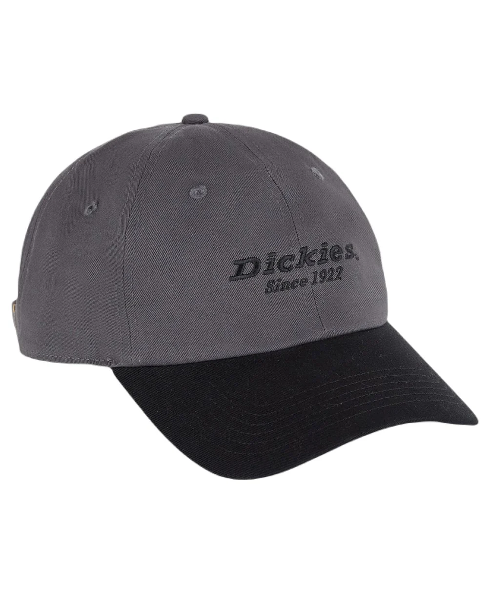 Dickies Everyday Twill Cotton Cap - Image 6