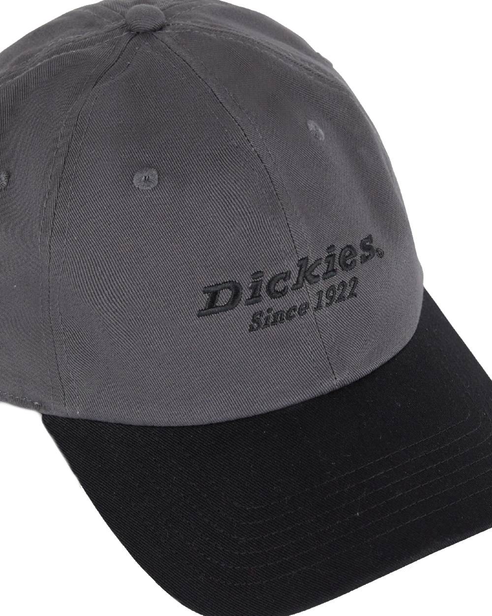 Dickies Everyday Twill Cotton Cap - Image 8